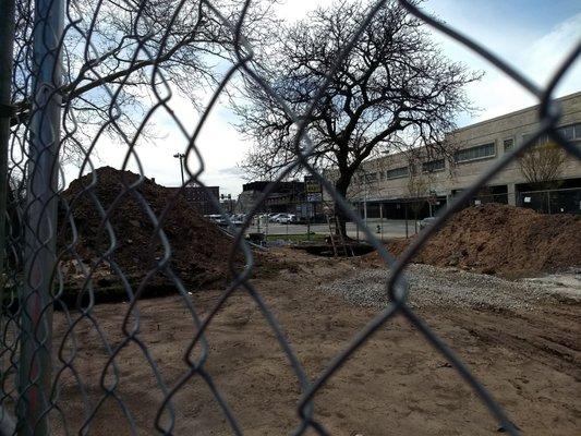 A big dig is going on at Peter Fransisco Park!