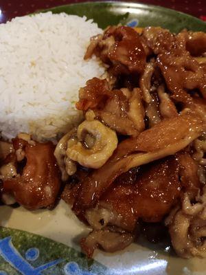 CHICKEN TERIYAKI