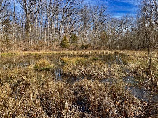 Small pond near the Stone Cottage picnic area