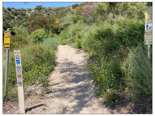 Catalina Verdugo Loop trail ends here at the parking entrance.