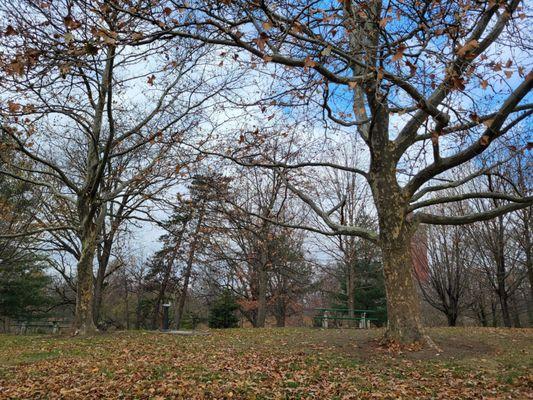 One of the picnic areas