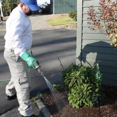 Axiom Eco-Pest Control uses powerspray and dosing technology to ensure complete coverage in exterior treatment areas.