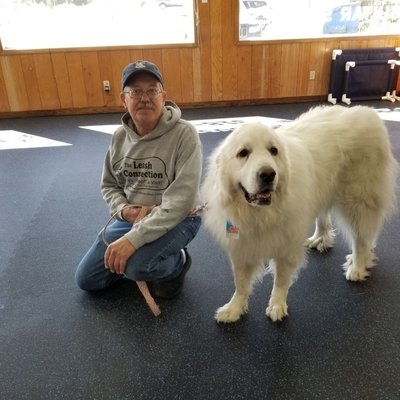 Abby at obedience class