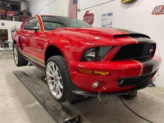 Shelby Super Snake In For Paint Correction And Ceramic Paint Sealant.  A Rare Car For Sure