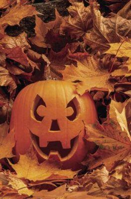 Treat yourself this Halloween to a relaxing deep tissue massage and a free hot stone service