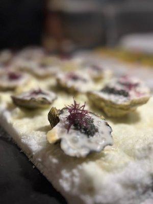 Oysters and Pearls