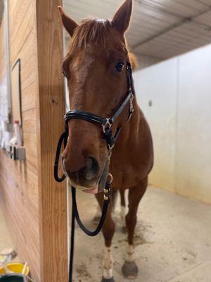 Chesapeake Central Equestrian, L.L.C.