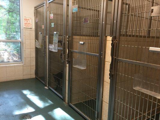 Kennel