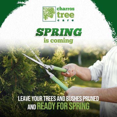 Charros Tree Service