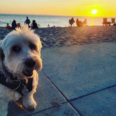 Nathan at the beach after a vacation at Dog Den.