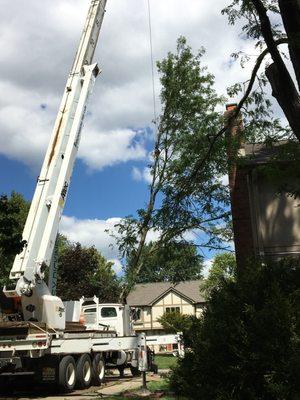 Brownsburg Tree Care