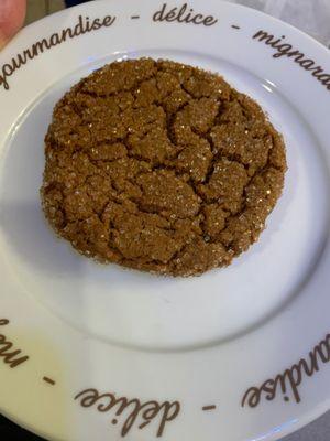 Molasses Cookie