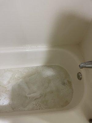 Water backed up, clearly dirty tub