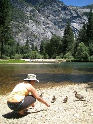 There were plenty of ducks, birds and fishes to see. If you own binoculars, it would be a good idea to bring them.