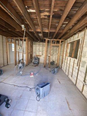 Some jobs have a minor mold problem some jobs are full demo like this office here. Roof damage caused mold to growth in all the surfaces.