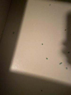 Mouse droppings and poison inside plastic wrapped dresser