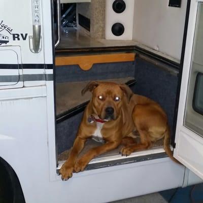 Hey everybody Tucker here so I have been really busy lately with Chet going all over the country finding RVS for xmas come se...