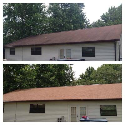 Shingle Roof Cleaning Pasco, Fl