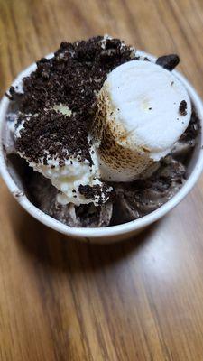 Oreo fro yo with whipped cream, oreos, and a roasted marshmallow. Mini sized