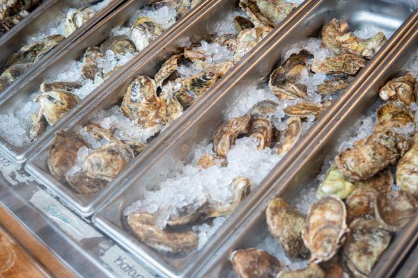 Fresh oysters all day, every day, the FINS way!