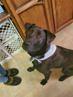 His first bandana.