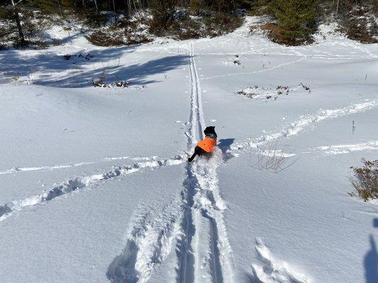 Cross country skiing