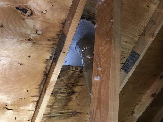 This picture of a water leak in an attic was taken by our Glenview home inspector