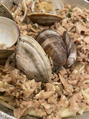 Linguine With Clams in white sauce