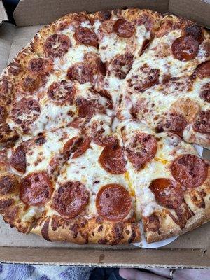 Large extra cheese and pepperoni pizza