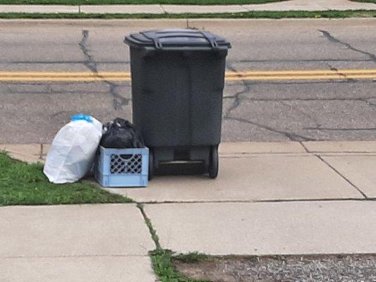 Garbage can In driveway this morning.