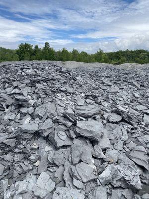 The "quarry" of fossils.