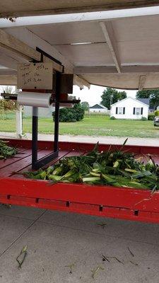 Still lots of corn,  3rd picking. I bought 6 White =$2.55 huge I'll post a photo later