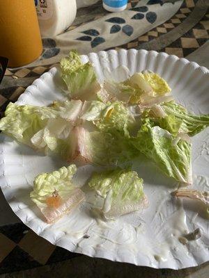 Spoiling lettuce in my Garden Salad