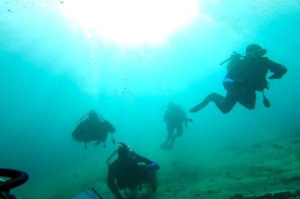 Monterey dive 4