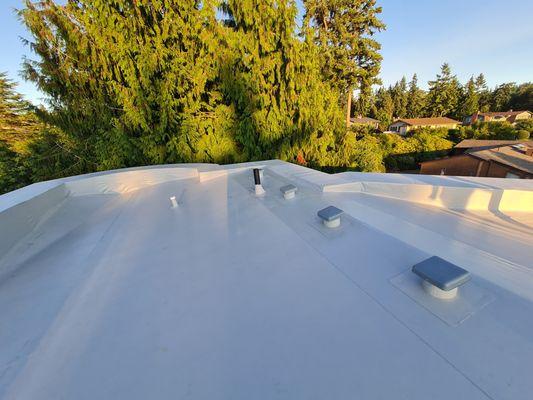 Flat Roof