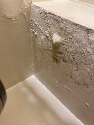 Ceiling leaking with mold