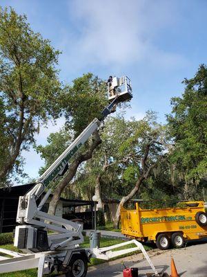 Dino aerial lift in action.