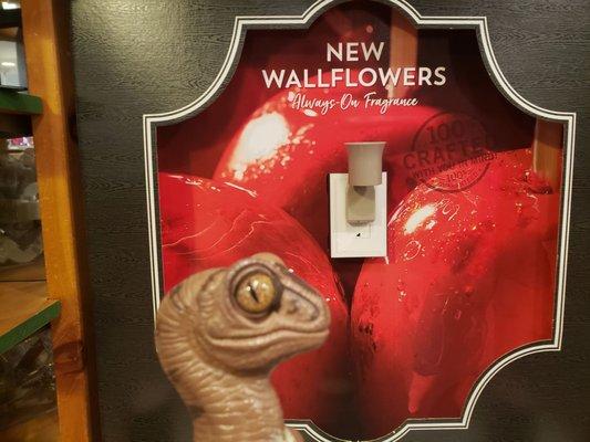 Bob the Raptor says "These things make your room smell like flowers and stuff!"