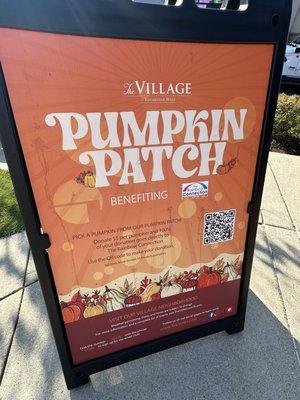 Pick a pumpkin, scan QR code and pay only $5! I grabbed 2 giant pumpkins for only $10!