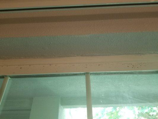 Mold on window frame