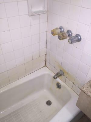 Mold and rust in the bathtub