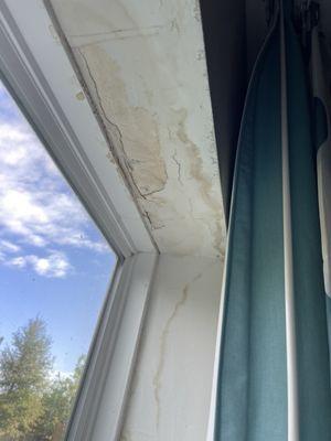 Window water damage.