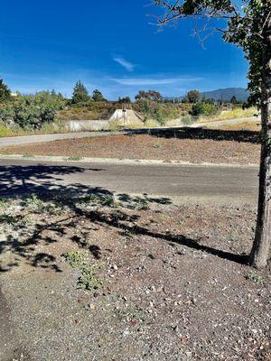 That's example of the landscape of this park... depressing  #LosGatosCreekCountyPark  #ParkCalifornia