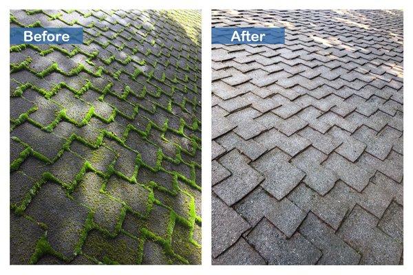 Moss Removal October 2019 in Lake Oswego