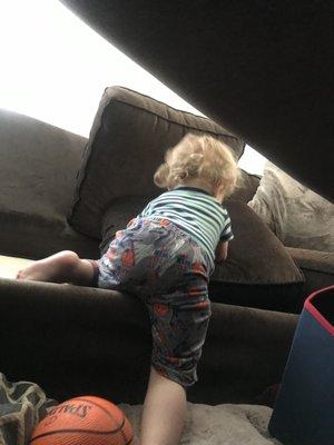 kiddo climbing on couch fort