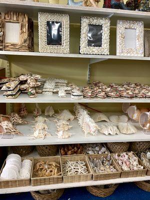 Novelty shells & gift items