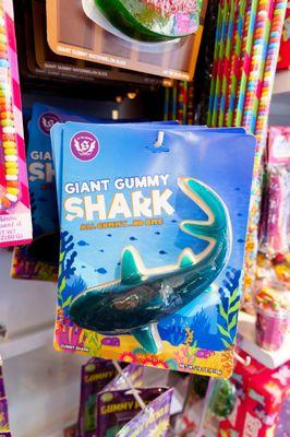 giant gummy shark