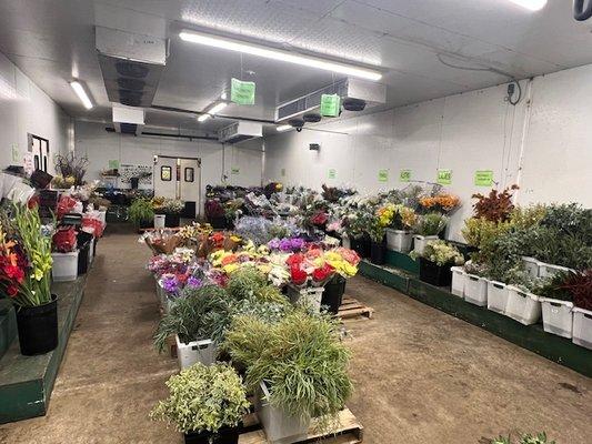 Hall's Wholesale Florist, Inc.