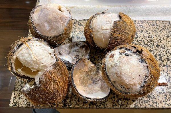 Rotten dry coconuts...