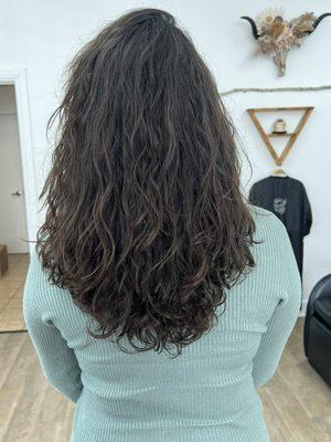 Curly dry haircut and style